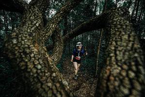 BIB: 
                            <button type="button" onclick="openModal(25692356)" class="btn btn-primary btn-sm float-right btn-popup" data-toggle="modal" data-target=".modal-high-quality">
                        <i class="fas fa-shopping-cart"></i> Add to Cart
                    </button>
                                            <button type="button" onclick="isThisMe(25692356, true)" class="btn btn-success btn-sm float-right btn-popup btn-isme hidden" data-toggle="tooltip" data-placement="bottom" title="นี่คือรูปของคุณใช่ไหม คลิกที่นี่เพื่อเอาเข้าอัลบั้ม">
                        <i class="fas fa-plus"></i> Add to album
                    </button>
                    <button type="button" onclick="isThisMe(25692356, false)" class="btn btn-warning btn-sm float-right btn-popup btn-isnotme hidden">
                        <i class="fas fa-ban"></i> Remove from album
                    </button>